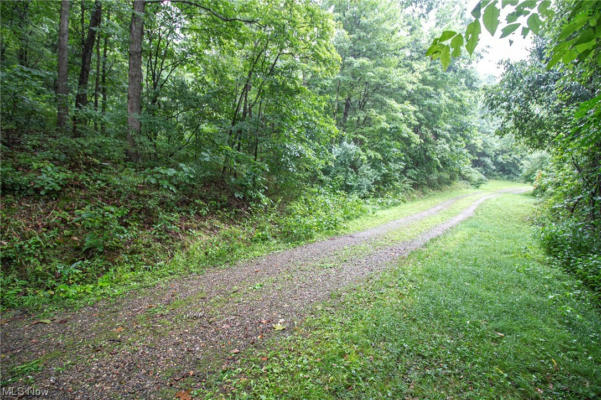 LOT 1 MEADOWOOD TRAIL, SCIO, OH 43988, photo 4 of 9