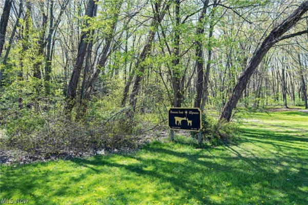 V/L TOWNLINE ROAD, NORTH PERRY, OH 44057 - Image 1