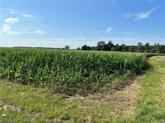 LOT A COOK ROAD, WAKEMAN, OH 44889, photo 4 of 9