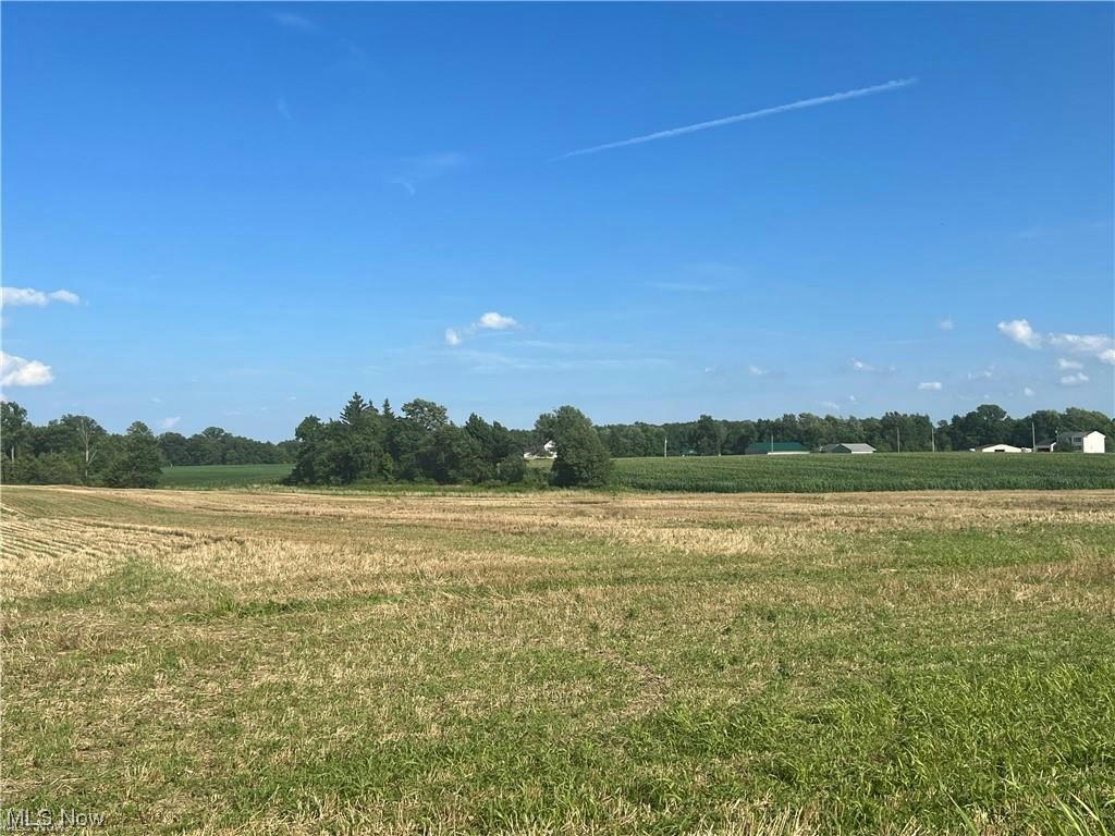 LOT A COOK ROAD, WAKEMAN, OH 44889, photo 1 of 9