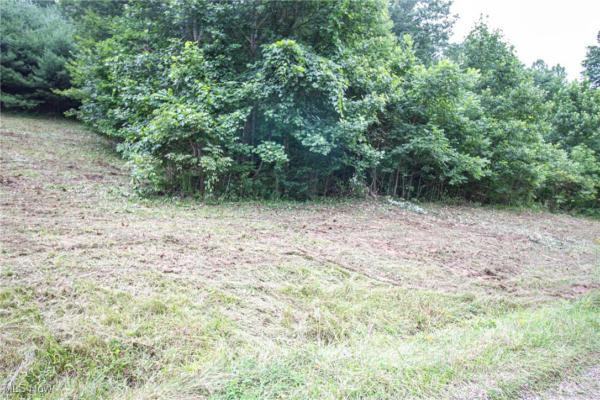 LOT 4 MEADOWOOD TRAIL, CADIZ, OH 43907 - Image 1