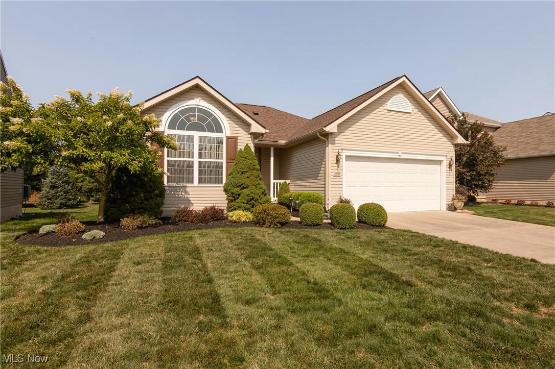 38106 ROCKY RUN CT, NORTH RIDGEVILLE, OH 44039, photo 1 of 34