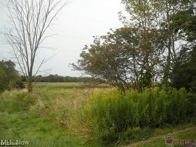 1166 YOUNGSTOWN KINGSVILLE RD SE, VIENNA, OH 44473 - Image 1