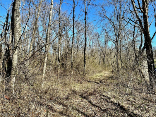 0 FISHER RIDGE RD, TRACT 4, FLEMING, OH 45729, photo 5 of 5