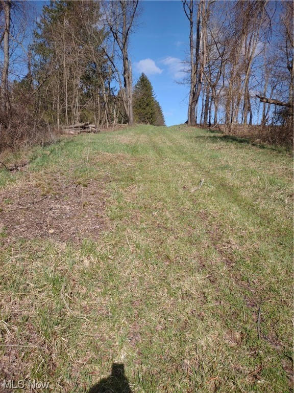 CO. RD. 122, BARNESVILLE, OH 43713, photo 1 of 9