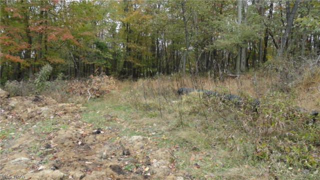 BRYDEN RD - LOT # 40, WEIRTON, WV 26062, photo 3 of 24
