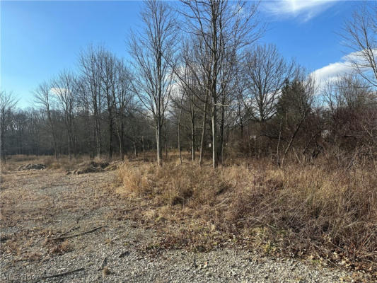 VACANT LAND CHARDON ROAD, WILLOUGHBY, OH 44094 - Image 1