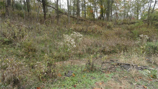 BRYDEN RD - LOT # 40, WEIRTON, WV 26062, photo 2 of 24