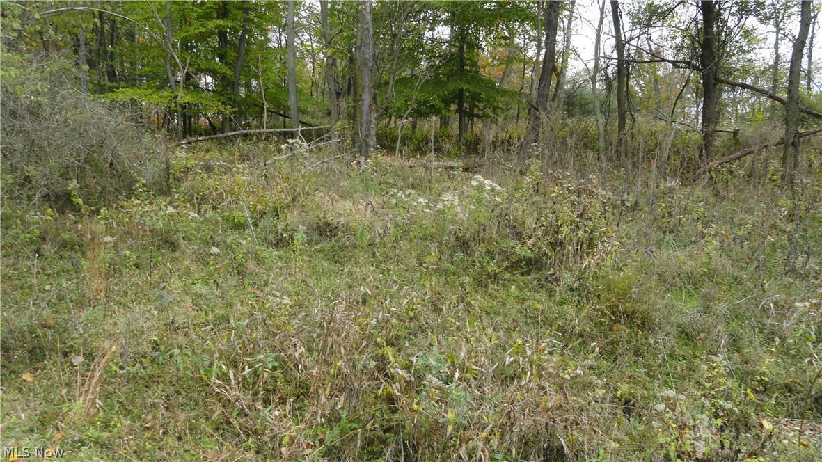 BRYDEN RD - LOT # 40, WEIRTON, WV 26062, photo 1 of 24