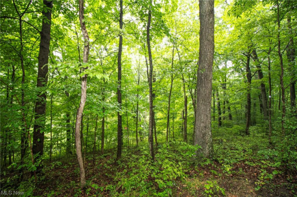 LOT 1 MEADOWOOD TRAIL, SCIO, OH 43988, photo 5 of 9