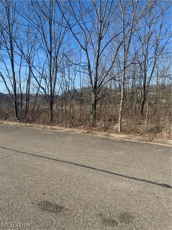 TBD DIPINO DRIVE, COLLIERS, WV 26035, photo 1