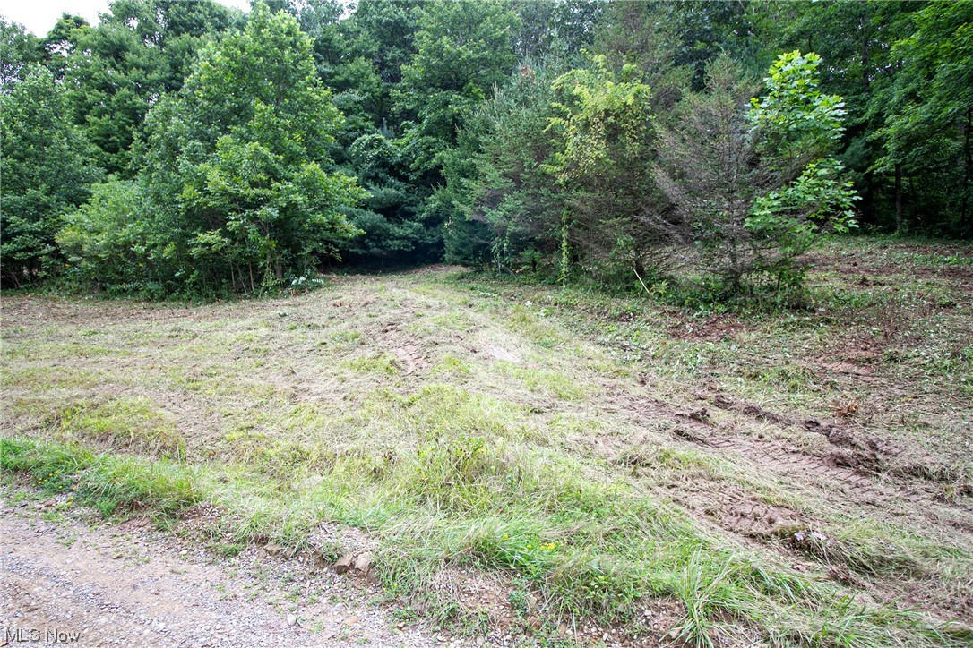 LOT 1 MEADOWOOD TRAIL, SCIO, OH 43988, photo 1 of 9
