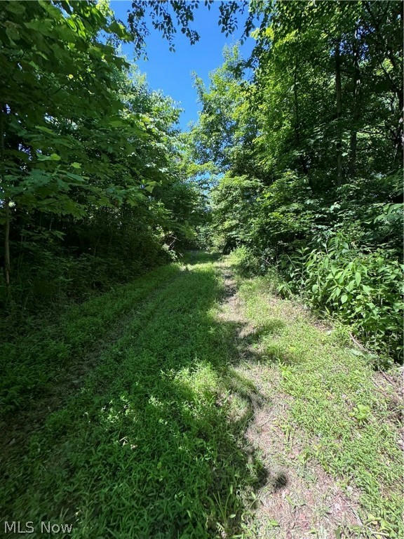 S STATE ROUTE 555 69.592+- ACRES, CHESTERHILL, OH 43728, photo 1 of 19