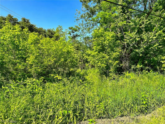 0 FISHER RIDGE RD, TRACT 5, FLEMING, OH 45729 - Image 1