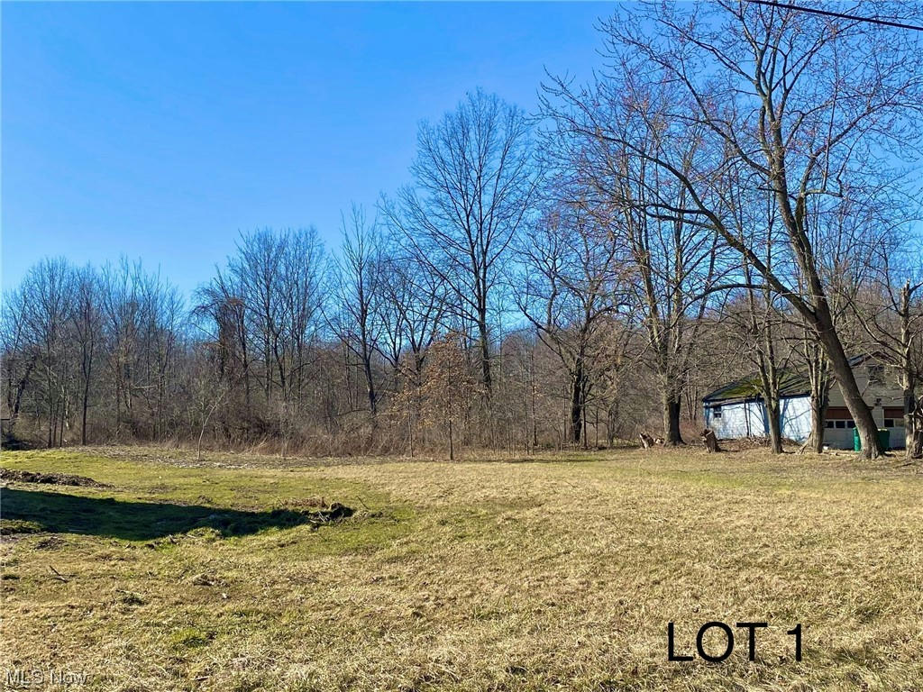LOT 1 CHAMBERLIN ROAD, TWINSBURG, OH 44087, photo 1 of 2